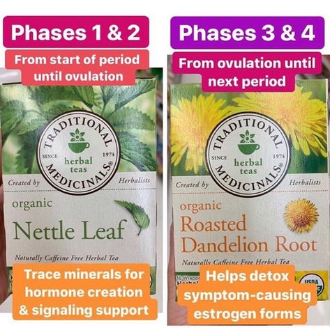 Flo Living, Nettle Tea, Cycling Food, Roasted Dandelion Root, Hormone Balancing Diet, Foods To Balance Hormones, Losing Hair, Herbal Education, Dandelion Tea