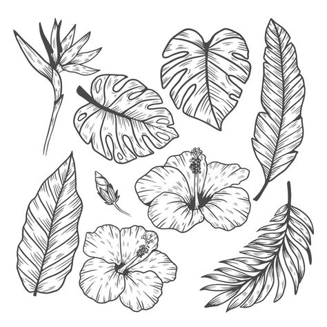 Tropical leaf and flower collection | Free Vector #Freepik #freevector Tropical Flower Tattoos, Leaf Outline, Plant Tattoo, Illustration Blume, Cat Air, Soyut Sanat Tabloları, Flower Collection, Leaf Drawing, Floral Drawing