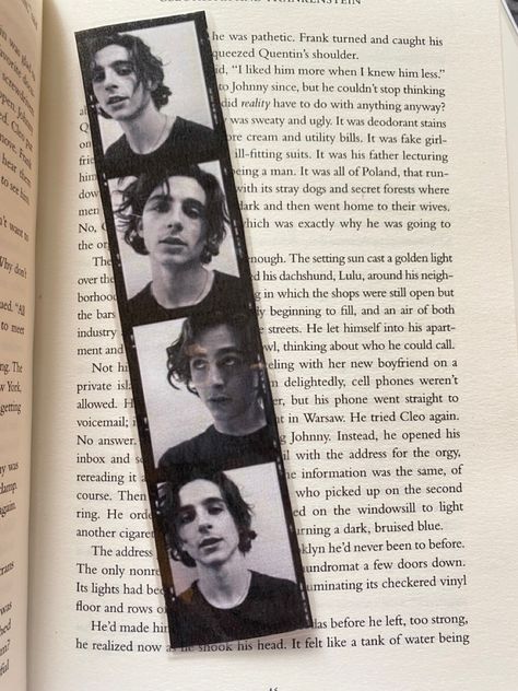 Timothee Chalamet Polaroid, Cleopatra And Frankenstein, The Warden, Maggie Stiefvater, Donna Tartt, Deodorant Stains, Bookmarks Printable, Timothee Chalamet, Whisper Quotes