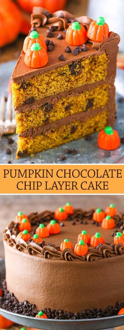 Pumpkin Chocolate Chip Layer Cake - Life Love and Sugar Pumpkin Chocolate Chip Cake, Moist Pumpkin Cake, Cake With Chocolate Chips, Children Cake, Coconut Hot Chocolate, Chocolate Chip Cake, Smooth Cake, Pumpkin Chocolate Chip, Pumpkin Chocolate Chips