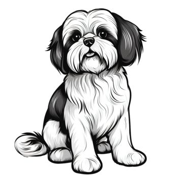 Shitzu Sketch, Shih Tzu Drawing, Shih Tzu Illustration, Painting Pastel Colors, Rat Drawing, Shitzu Dogs, Sharpie Drawings, Cute Dog Drawing, Shitzu Puppies