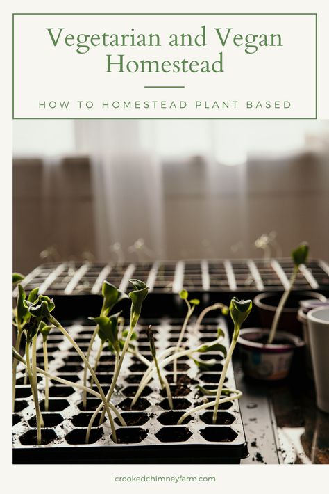 Plant Based Homestead, Vegetarian Homesteading, Vegan Homestead, Vegan Homesteading, Homesteading Books, Vegan Beginner Tips, Homestead Books, Best Homesteading Books, Homesteading Diy Projects