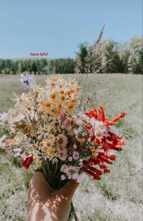 Wild Flowers Aesthetic, Photos Flowers, Picnic Inspiration, Artsy Photos, Nothing But Flowers, Flowers Aesthetic, Flower Therapy, Beautiful Bouquet Of Flowers, Luxury Flowers