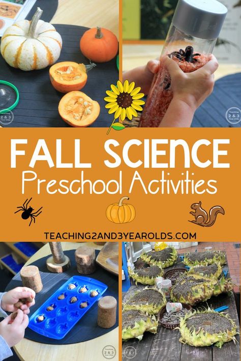 Science Area Preschool, Science Activities For Preschool, Fall Science Activities, Science Center Preschool, Fall Science, Science For Toddlers, Preschool Fall, Preschool Science Activities, Fall Preschool Activities