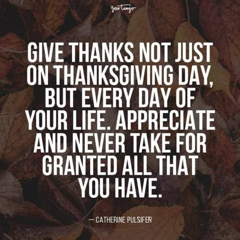 Our House Quotes, Thanksgiving Quotes Friends, Thanksgiving Family Quotes, Meal Quotes, Traditional Quotes, Tradition Quotes, Giving Quotes, Quotes Friends, House Quotes