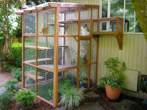 Incredible Catios by Catio Spaces in Seattle Catio Plans, Diy Cat Enclosure, Katt Diy, Katt Grejer, Kat Diy, Chat Diy, Cats Outside, Cat Patio, Diy Cat Tree