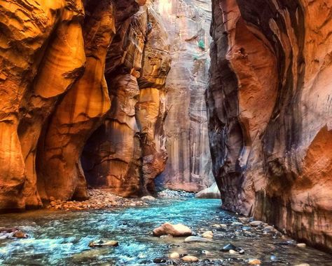 The Narrows, Zion National Park is one of the most iconic hikes in the world. The trail is almost entirely through water up the Virgin River in a deep gorge with high red sandstone walls. Naturally, the hike is quite dangerous and can't hiked sometimes. We answer all the questions you need to know before you go: when can I hike the Narrows? What should I pack to hike the Zion Narrows? Everything you need to know about this bucket list adventure see here #zionnationalpark #utah #adventure #hiking Zion Narrows Hike, Zion National Park Photography, Narrows Zion National Park, The Narrows Zion, Zion National Park Hikes, Hiking The Narrows, Utah Road Trip, Matka Natura, National Parks Photography