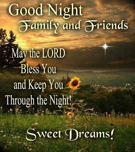 Goodnight Family And Friends, Sweet Dreams! Sweets Quotes, Good Night Family, Mom In Heaven Quotes, Friends Are Family Quotes, Good Night Prayer Quotes, Good Night Everyone, Quotes Family, Good Night Flowers, Good Night Prayer