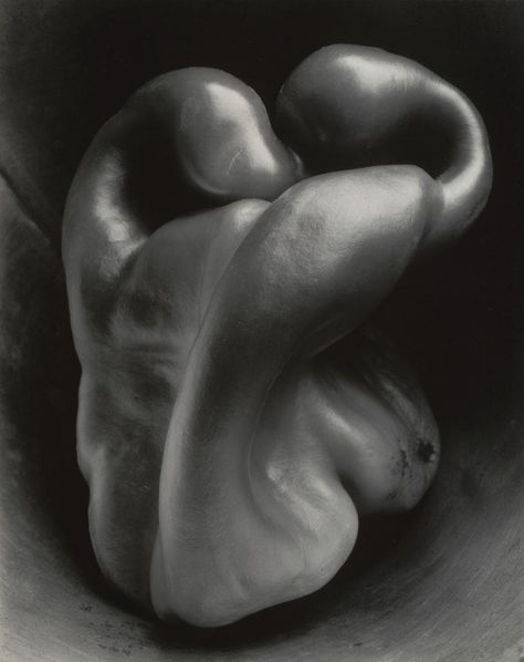 Edward Weston. Pepper No. 30. 1930 | MoMA Juan Sanchez Cotan, Straight Photography, Imogen Cunningham, Edward Weston, Henri Cartier Bresson, Ellen Von Unwerth, Alfred Stieglitz, Richard Avedon, Gelatin Silver Print