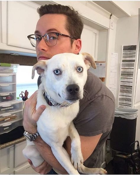 Image may contain: dog, eyeglasses and indoor Chicago Pd Cast, Jesse Lee Soffer, Hank Voight, Jesse Lee, Jay Halstead, National Pet Day, Chicago Family, Chicago Shows, Chicago Med