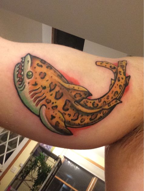 Jaguar Shark Tattoo, American Traditional Leopard, Leopard Shark Tattoo, Jaguar Shark, Traditional Leopard, Leopard Shark, Shark Tattoo, Shark Tattoos, Life Aquatic