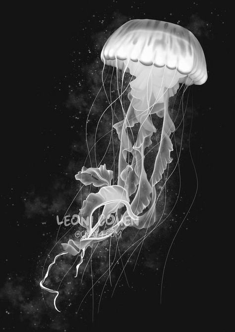 Medusa Animal, Ocean Life Photography, Jellyfish Pictures, Jellyfish Photography, Jellyfish Painting, Art Coquillage, Scratchboard Art, Jellyfish Tattoo, Black Paper Drawing