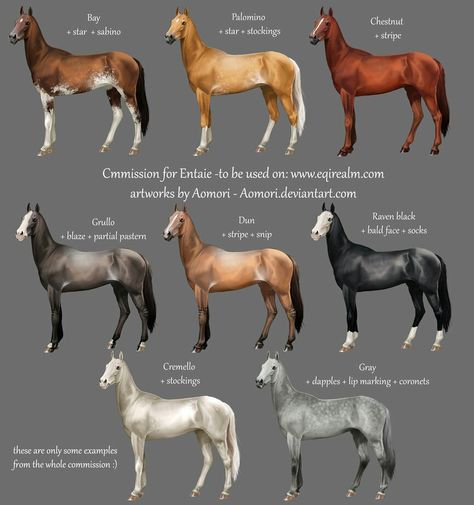 Some Akhal Teke colors/markings Ahal Teke, Rare Horse Breeds, Horse Coat Colors, Akhal Teke Horses, Rare Horses, Horse Facts, Rasy Koni, Golden Horse, Types Of Horses