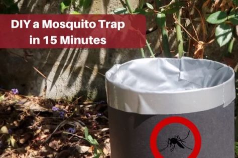 Mosquito Trap Homemade, Mosquito Trap Diy, Hornet Trap, Homemade Fly Traps, Mosquito Yard Spray, Mosquito Dunks, Mosquito Traps, Diy Mosquito Repellent, Mosquito Trap