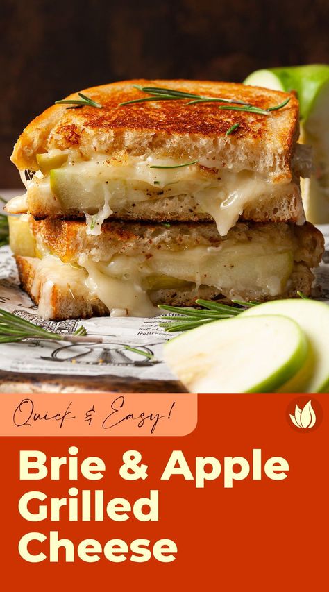 Brie Recipes Sandwich, Brie Cheese Grilled Cheese, Apple Grilled Cheese Recipes, Apple And Brie Grilled Cheese, Grilled Cheese Recipes Apple, Pear And Brie Grilled Cheese, Pear Apple Cheddar Caramelized Onion Grilled Cheese Bagel Sandwich, Grilled Cheese Recipes Brie, Fancy Grilled Cheese Brie