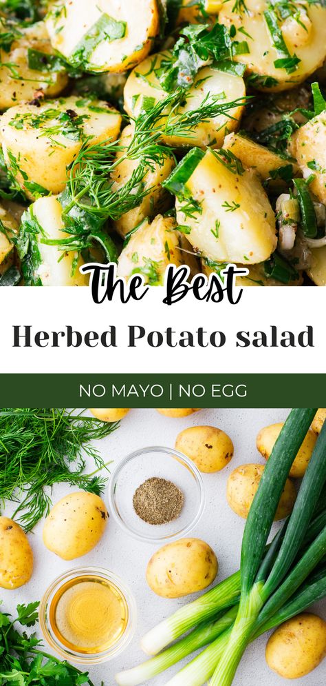 Discover a lighter, fresher take on a classic with this no mayo herbed potato salad recipe! This delightful salad is tossed with a zesty herb vinaigrette made from olive oil, lemon, mustard and lots of herbs, packing it with flavour without the heaviness of mayonnaise. It's the perfect side dish for summer picnics, BBQ and other warm weather gatherings. Enjoy this simple yet extraordinary no mayo potato salad that's both healthy and delicious. No Mayo Salads Summer, Potato Salad Without Mayonnaise, Potato Salad Without Eggs, Potato Salad Without Mayo, No Mayo Potato Salad, Mayo Potato Salad, Potato Salad No Mayo, Herbed Potato Salad, Herb Vinaigrette