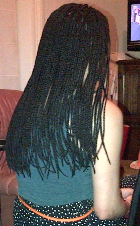 Box braids, size 1, more than bra length – back view. Bra Length Box Braids, Bra Length Braids, Bra Length Knotless Braids, Box Braids Sizes, Braids Extensions, Summer Braids, Twist Braid Hairstyles, Box Braid, Braids With Extensions