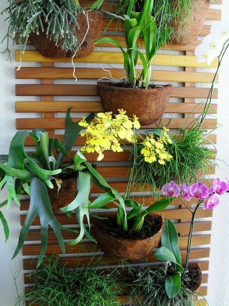 Orchid Wall, String Garden, Garden Wall Designs, Vertical Garden Design, Container Garden Design, Orchids Garden, Garden Stand, Inside Plants, Backyard Pool Landscaping