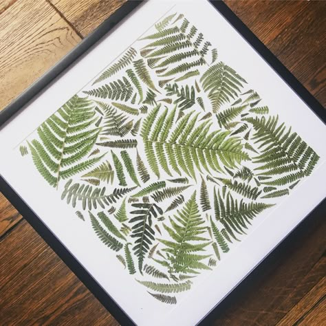 Hand picked and hand pressed ferns in a 21 inch frame Pressed Fern Art, Craft Nights, Framed Floral Art, Fern Art, Pressed Fern, Earth Projects, Dried Plants, Dry Plants, Pressed Flower Art