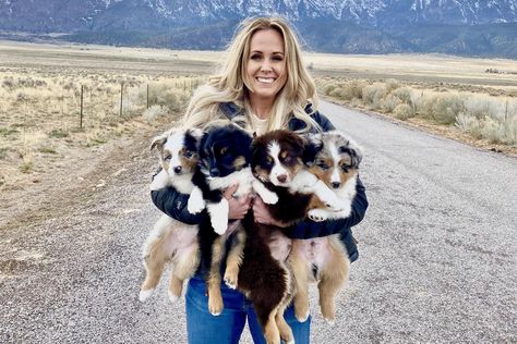 Canyon Creek Aussies in Utah | Australian Shepherd and Miniature Australian Shepherd puppies | Good Dog Miniature Australian Shepherd Puppies, Aussie Mix, Miniature Australian Shepherd, Aussie Shepherd, Australian Shepherd Puppy, Australian Shepherd Puppies, Good Dog, Australian Shepherd Dogs, Australian Shepherds