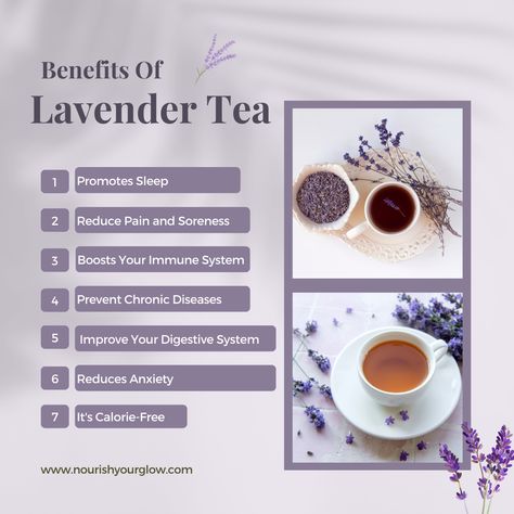 Benefits Of Lavender Tea, How To Make Lavender Tea, Lavender Tea Benefits, Herbal Witchcraft, Mint Tea Benefits, Healing Tea Recipes, Herb Benefits, Chamomile Tea Benefits, Herbs For Protection