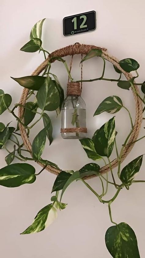 Hanging Plants Diy, Tanaman Indoor, Hanging Gardens, Plant Hanging, نباتات منزلية, Diy Plant Hanger, Inside Plants, Growing Plants Indoors, Garden Crafts Diy