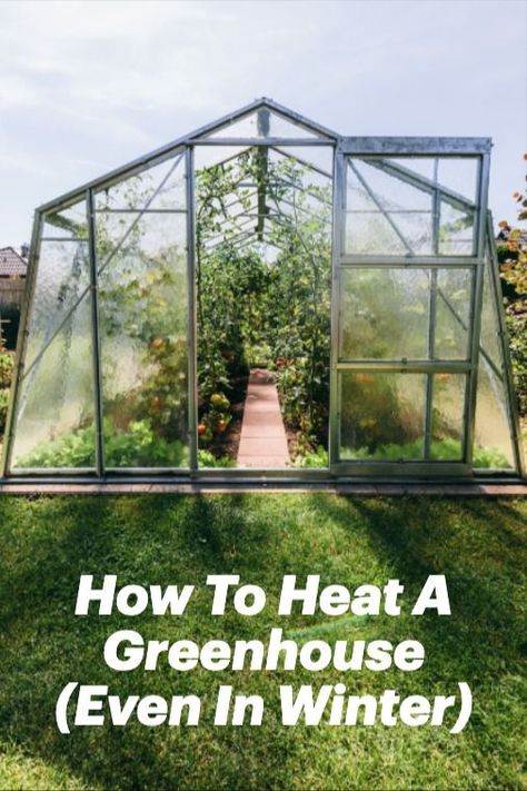 If you need more space for growing plants in the winter, a greenhouse seems like a logical choice. However, there is still the problem of germinating seeds and keeping plants alive in the winter cold. Let’s take a closer look at how these greenhouse heating methods work, and which ones might be the best option for you. Lean To Greenhouse Kits, 6x8 Greenhouse, Greenhouse Heating, Germinating Seeds, Greenhouse Heaters, Keeping Plants Alive, Heating A Greenhouse, Preschool Garden, Best Greenhouse