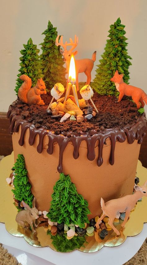 Camping Theme Cakes, Camping Birthday Cake, Natural Birthday Party, Hunting Birthday Cakes, Campfire Cake, Fire Cake, Nature Cake, Camping Cakes, Camping Theme Birthday