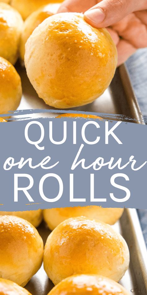 This Quick Dinner Rolls Recipe is the easiest dinner roll recipe that's ready in one hour or less. Easy pro tips and tricks for fluffy and delicious dinner rolls every single time. Recipe from thebusybaker.ca! #dinnerrolls #quickdinnerrolls #buns #holidaydinnerrolls #easybunrecipe #easyrollsrecipe #dinnerrollrecipe via @busybakerblog Thanksgiving Breads, Thanksgiving Biscuits, Quick Dinner Rolls Recipe, Cloverleaf Dinner Rolls, Yeast Dinner Rolls Recipe, Beautiful Meals, Quick Dinner Rolls, Dinner Roll Recipe, Thanksgiving Bread