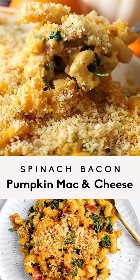 Savory Bacon, Pumpkin Recipes Dinner, Pumpkin Mac And Cheese, Cheese Bake, Savory Dinner, Delicious Pumpkin, Easy Pumpkin, Sweet And Savory, Healthy Dinner Recipes Easy