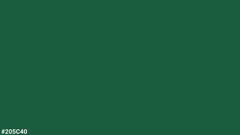 Pantone 554 C | #205C40 - Detailed Color Information and Usage Advanced Technology, Repair, Models, Technology, Paint, Green, Color