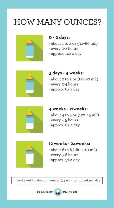 Formal feeding may feel complicated and a little overwhelming with all the gear available. Here's a breakdown of what you need and how to get started! Baby Trivia, Newborn Schedule, Baby Routine, Newborn Feeding, Formula Feeding, Baby Information, Baby Schedule, Newborn Baby Tips, Baby Life Hacks