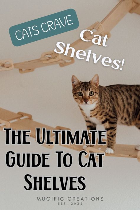 A bengal cat walking on vertical cat shelving. Cat Climbing Shelves Diy, Wall Shelves For Cats, Cat Hiding Places Diy, Cat Shelf Ideas, Cat Wall Shelves Catwalks, Cat Wall Furniture Diy, Cat Shelves Diy Climbing Wall, Diy Cat Wall Shelves, Cat Wall Ideas