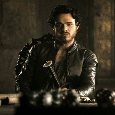 Robb Stark Aesthetic, Game Of Thrones Robb Stark, Rob Stark, Robb Stark, Got Characters, Richard Madden, Game Of Thrones Houses, House Of Dragons, King Of Kings