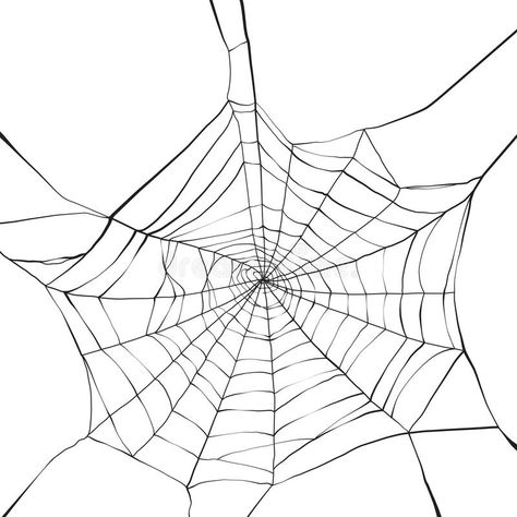 Spider Web Outline, Web Drawing, Spider Web Drawing, Spider Illustration, Spider Web Tattoo, Web Tattoo, Insect Tattoo, Spider Tattoo, Spider Art