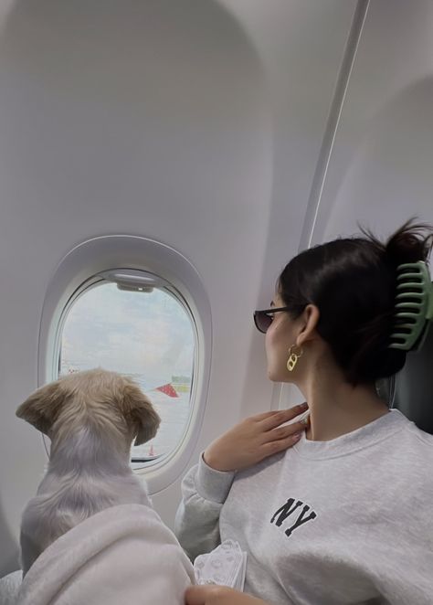 Travel Dog Aesthetic, Dog Groomer Aesthetic, Airport Vibes, Travel Collage, Airport Photos, Plane Travel, Vision Board Manifestation, Pet Photography, Dog Travel