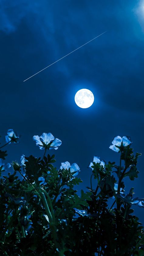 Lovely Flowers Wallpaper, Pretty Landscapes, Moon Photography, Cool Wallpapers Art, Dessin Adorable, Aesthetic Pastel Wallpaper, Pretty Wallpapers Backgrounds, Dreamy Art, Alam Yang Indah