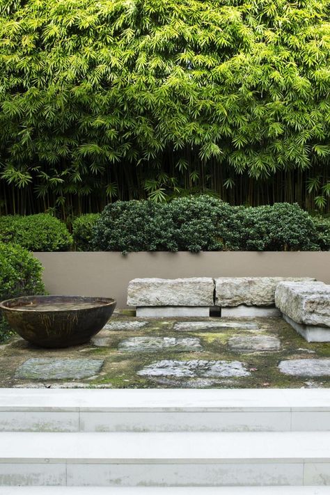 6 Best Japanese Inspired Garden Design Ideas | Homes To Love Japandi Garden, Japanese Garden Ideas, Melbourne Garden, Japanese Inspired Garden, Japanese Plants, Japanese Style Garden, Japanese Garden Landscape, Homes To Love, Japan Garden