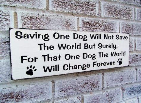 Dog rescue, quote sign "Saving one dog..." dog lovers, pet adoption, dog… Vet Office Decor, Rescue Dog Quotes, Rescue Quotes, Vet Office, Dog Shelter, Dog Area, Pet Vet, Vet Clinics, Animal Sanctuary