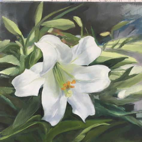 Original oil painting of white easter lilies in the greenhouse. 10x10 inches on canvas. USPS Priority mail shipping is included in the U.S. Others please convo me for a quote. 10% of artist proceeds are donated to organizations that support family farms or farmland conservation. All images, photography, paintings and drawings are copyright of Laura Shore. Please do not use, alter, redistribute, or borrow any image in this store. This copyright does not transfer with the sale of the painting or r Easter Lilies, Victorian Vases, White Lily Flower, Floral Cross Stitch Pattern, Lily Painting, Yellow Vase, Easter Lily, Paintings And Drawings, Easter Flowers