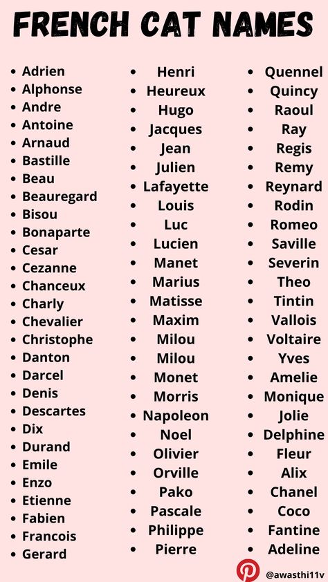 French Names For Boyfriend, Coquette Cat Names, Male Cat Names Unique List, Pretty Male Names, French Last Names For Characters, French Names Male, French Pet Names, Korean Cat Names, Cats Names Ideas