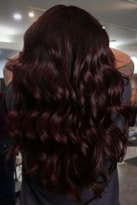 Cherry Black Black Cherry Red Hair, Scarlet Red Hair, Violet Black Hair, Color For Black Hair, Cherry Brown Hair, Black Hair Ideas, Black Cherry Hair Color, Black And Burgundy Hair, Black Cherry Hair