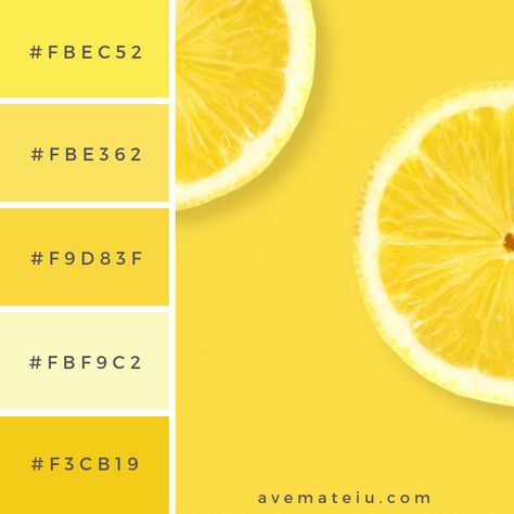 Layout the lemon on a yellow background Color Palette #255 - Color combination, Color pallets, Color palettes, Color scheme, Color inspiration, Colour Palettes, Art, Inspiration, Vintage, Bright, Blue, Warm, Dark, Design, Yellow, Green, Grey, Red, Purple, Rustic, Fall, Autumn, Winter, Summer 2019, Nature, Spring, Summer, Flowers, Sunset, Sunrise, Pantone https://avemateiu.com/color-palettes/ Lemon Pallete Color, Yellow Pallete Color, Background Color Palette, Pallets Color, Shades Of Yellow Color, Yellow Color Palette, Yellow Pantone, Flowers Sunset, Palettes Color