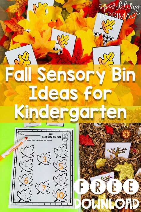 Sensory Bins For Kindergarten, For Kindergarten Activities, Small Group Math Activities, Kindergarten Small Groups, Kindergarten Sensory, Fall Kindergarten Activities, Fall Math Activities, Fall Sensory Bin, Fall Sensory