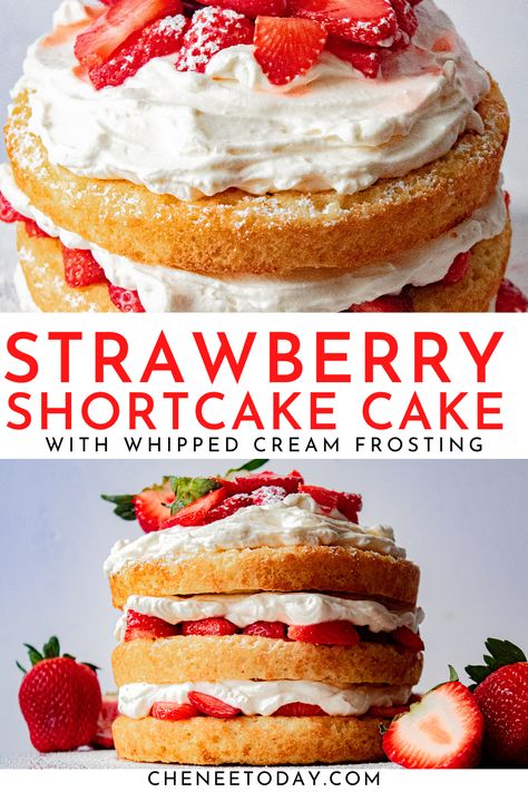 Small Batch Vanilla Cake, Cake With Strawberries On Top, Vanilla Cake With Strawberries, Strawberry Whipped Cream Cake, Cake With Fresh Strawberries, Strawberry Layer Cakes, Homemade Strawberry Shortcake, Strawberry Vanilla Cake, Strawberry Cake Filling