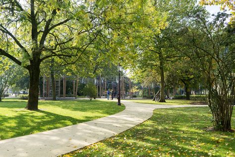 Landscape Architecture Park, Outdoor Park, Park Landscape, Park Photography, Urban Park, Garden Park, Green Park, Outdoor Playground, Amsterdam Netherlands