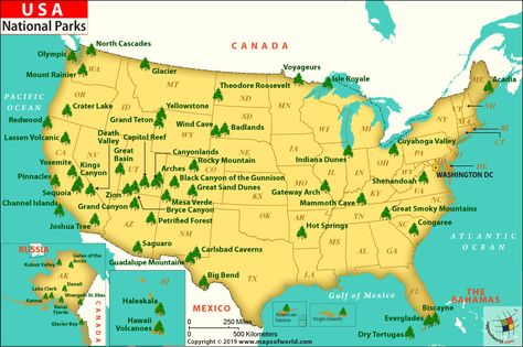 US National Parks Map - This map shows the list of american national parks by state spread throughout the United States. World Geography Map, Us National Parks Map, List Of National Parks, American National Parks, Channel Islands National Park, Glacier Bay National Park, National Parks Map, National Park Road Trip, Denali National Park