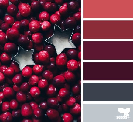 Cranberry red Seeds Color, Winter Color Palette, Deco Rose, Backgrounds Aesthetic, Color Season, Design Seeds, Color Balance, Winter Colors, World Of Color