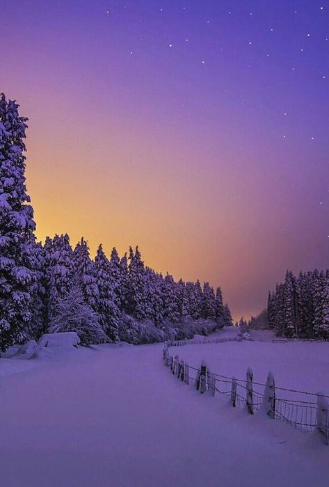 Snowstorm Aesthetic, Snowy Scenery, Snow Season, Winter Sunset, Winter Love, Winter Wallpaper, Winter Magic, Winter Scenery, Winter Beauty