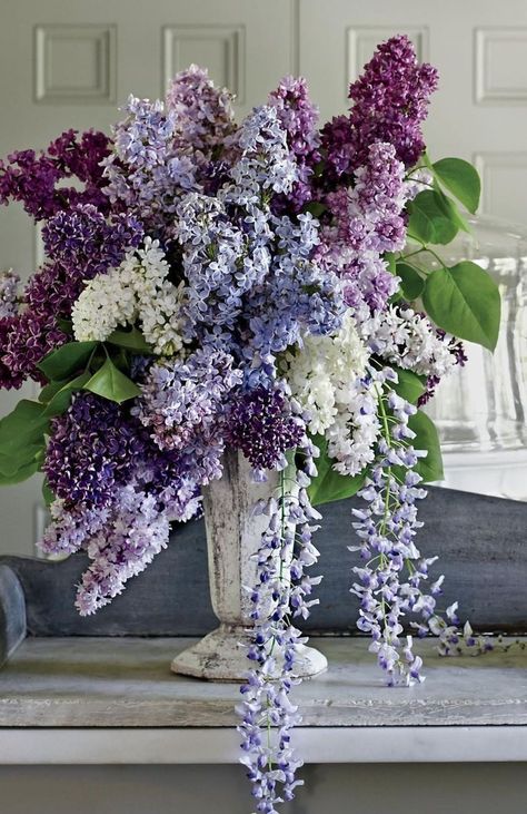 Breathtaking tops, bottoms, dresses, and knitwear for all of your Fall plans. Lilac Flower Arrangements, Lilac Arrangements, Lilac Flower Bouquet, Lilacs Flowers, Lilac Bouquet, Nothing But Flowers, Flower Therapy, Beautiful Flower Arrangements, Lilac Flowers